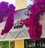 Galeri Image